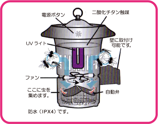 サムネール画像